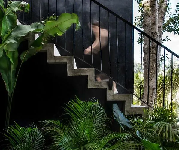 Lagú Masterpiece Jungle 5br Pool&spa Villa Tulum